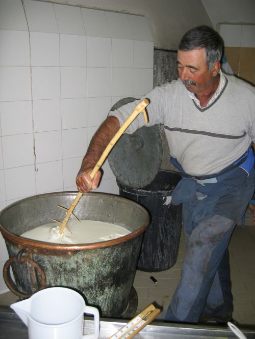 scuola di formaggio-8.JPG
